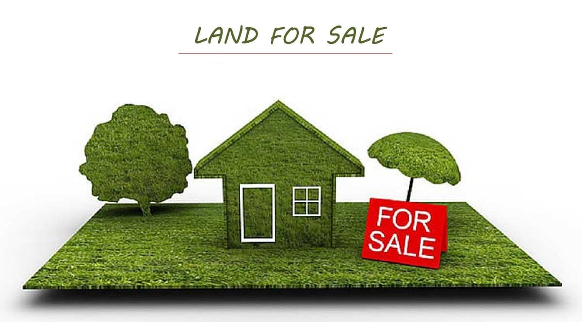 land-1